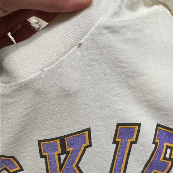 Vintage 1991 Washington Huskies “Undefeated Season – Year of the Dawg” Tee - Picture 5 of 6